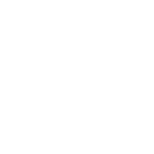 StrefaIE Logo